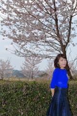 嫁ポ_桜②