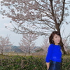 嫁ポ_桜②