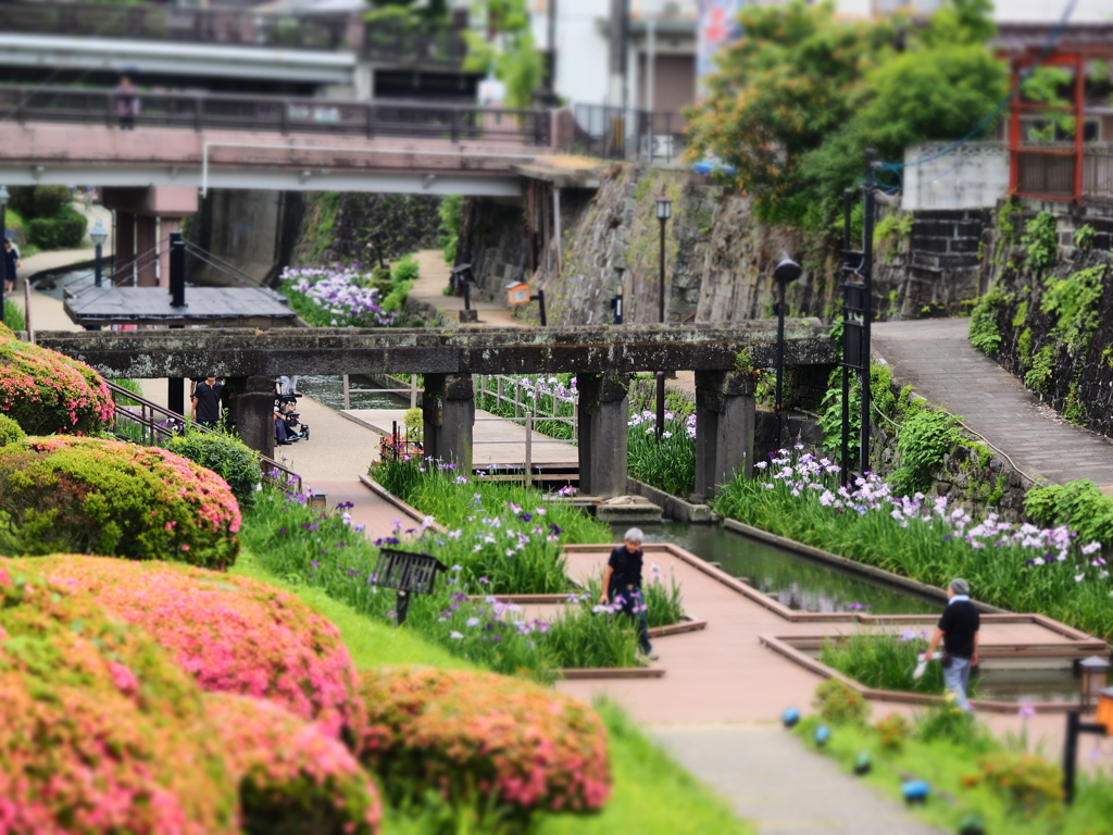 高瀬裏川