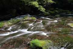手持ち撮影 SS 1/4