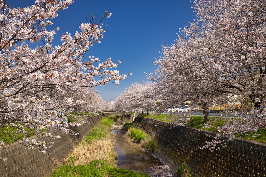 放水路