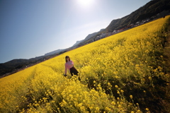菜の花畑で逆光で