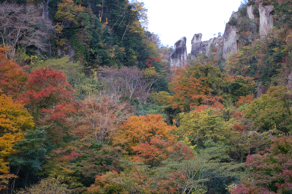 一目八景