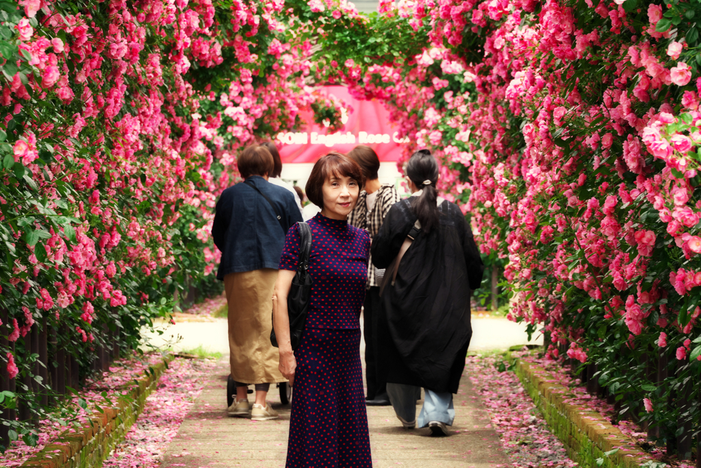 見返りの薔薇