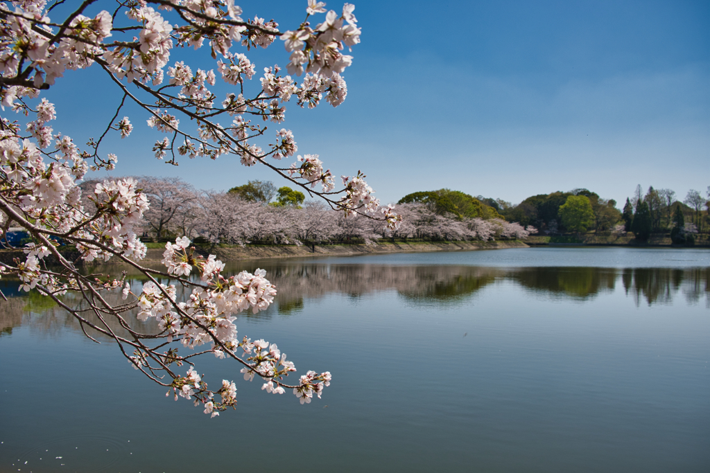 立岡自然公園
