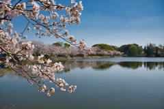 立岡自然公園