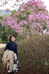 モクレン