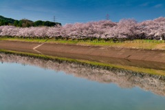 立岡自然公園
