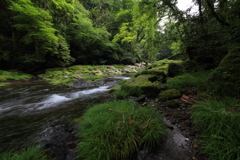 手持ち撮影 SS 1/13
