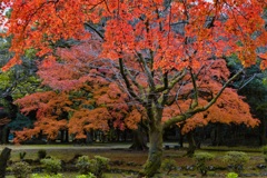 北岡自然公園