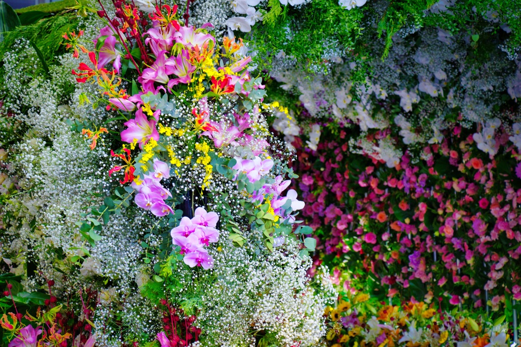 花のトンネル