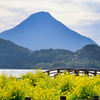 湖畔の太鼓橋