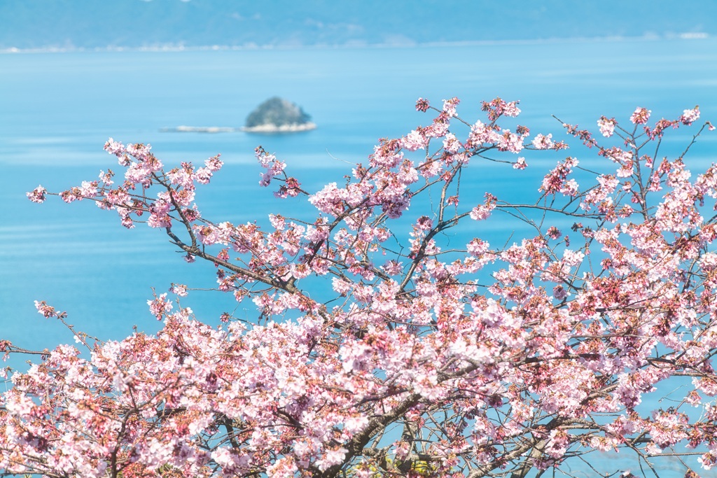 小さな島