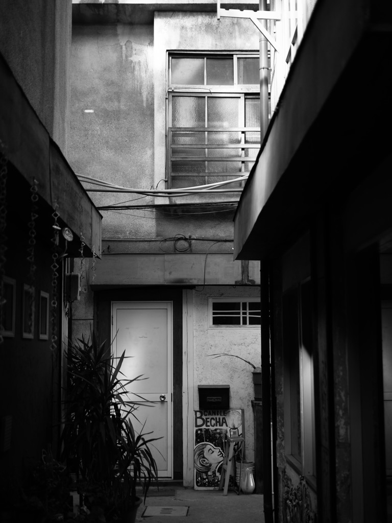 右か左か