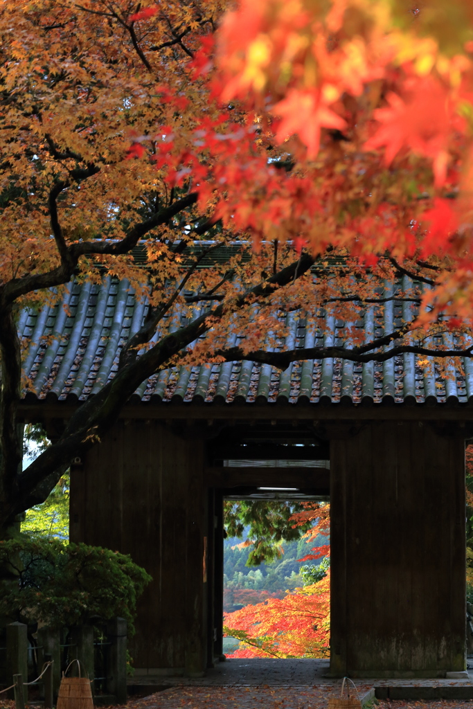 大興善寺