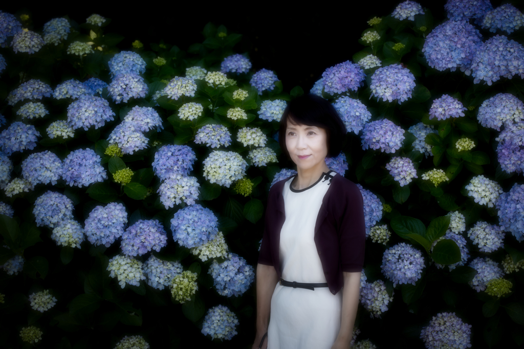 EOS R紫陽花ポトレ