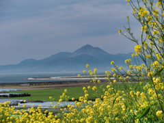 普賢岳