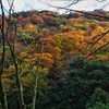 山の紅葉