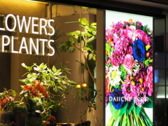 FLOWERS＆PLANTS