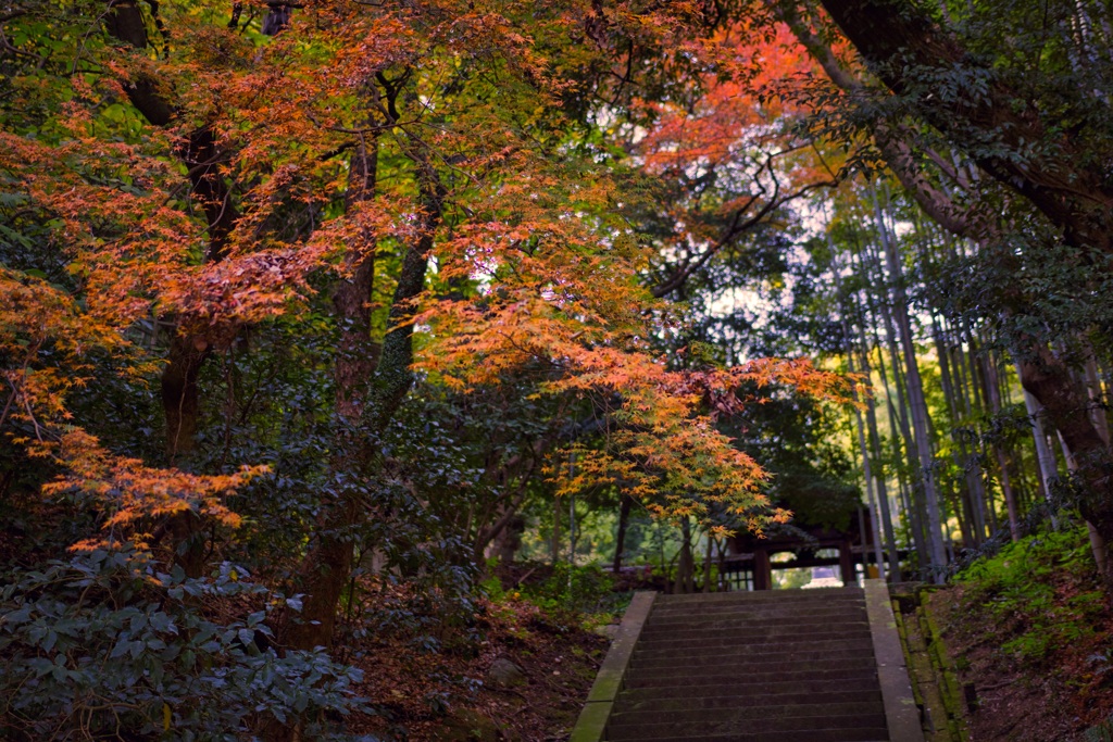 北岡自然公園
