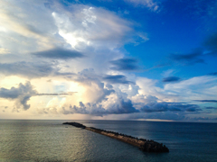 与論の動的な空