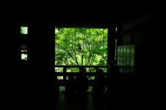 夏
