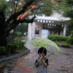 雨の日の散歩