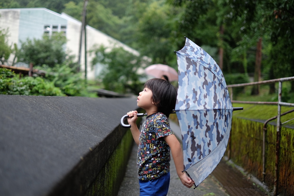 小雨