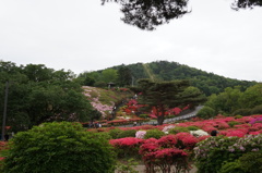 小室山
