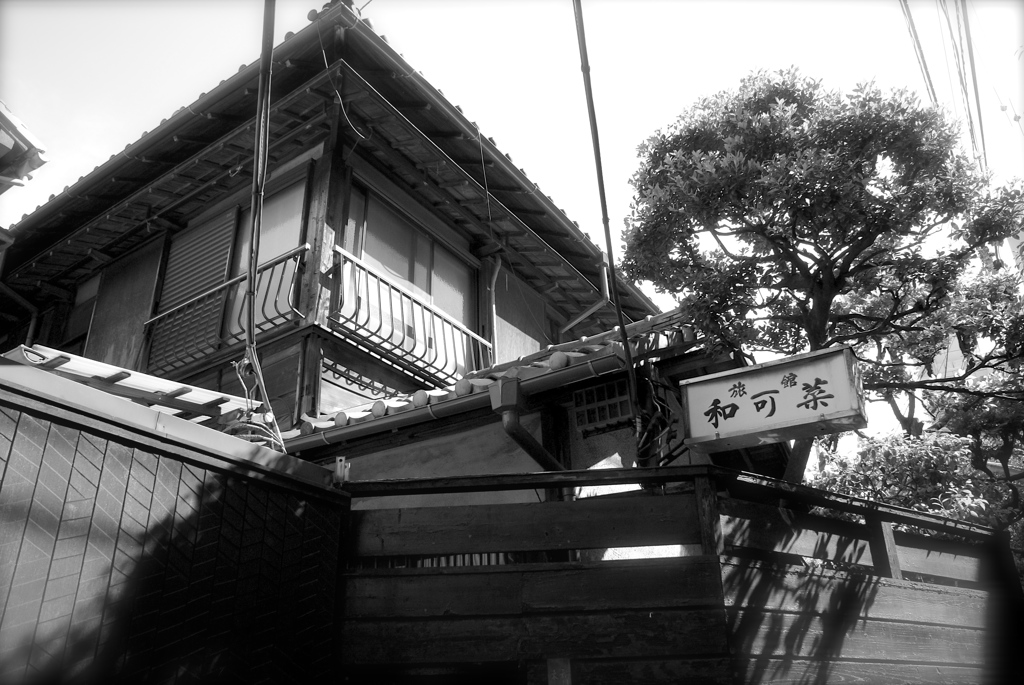 神楽坂　和可菜