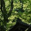 明月院