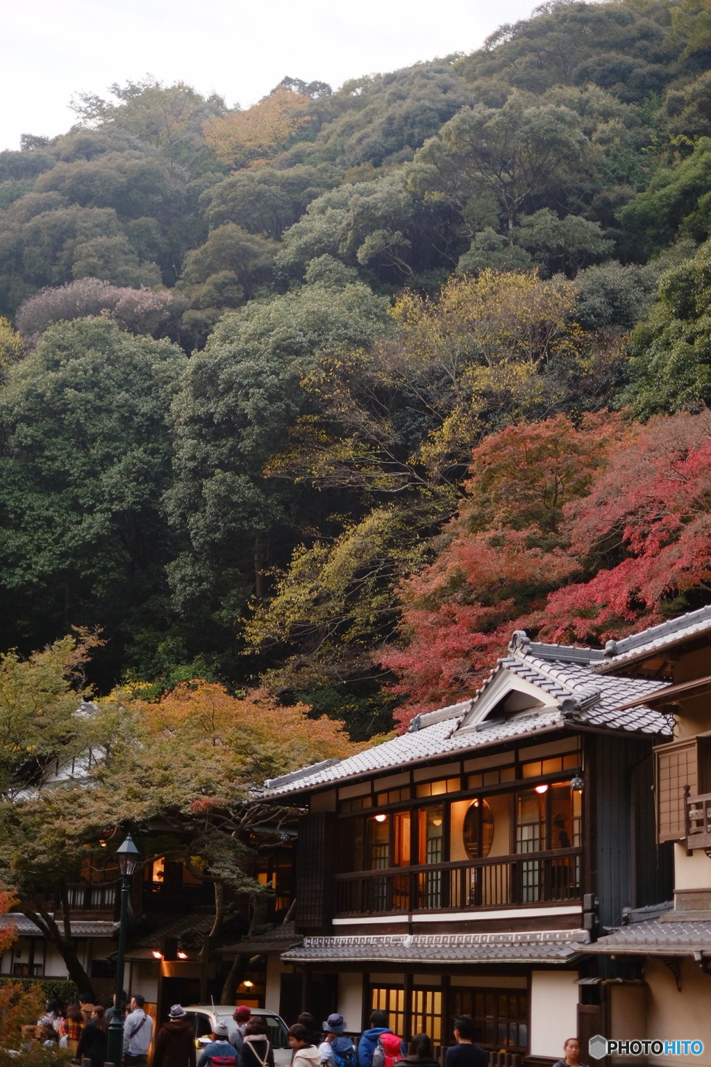 紅葉