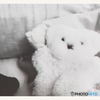子供のぬいぐるみ