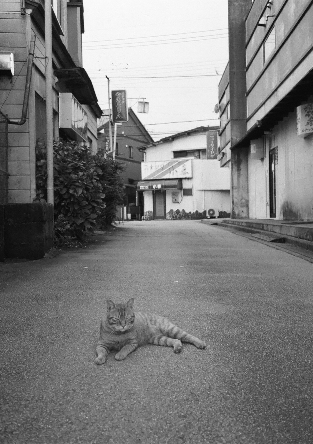 日曜午後4時の繁華街