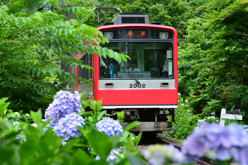 箱根登山鉄道　大平台駅付近　1