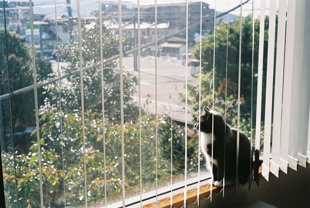 AM09:30
