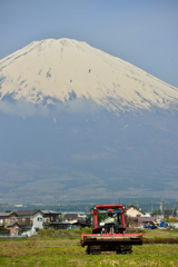 耕す春