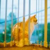何を見ているの？