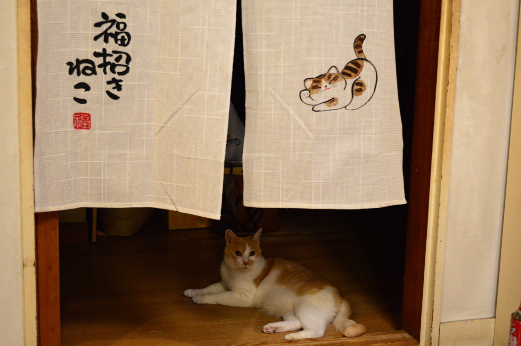 期待していいかな？