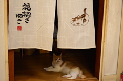 期待していいかな？