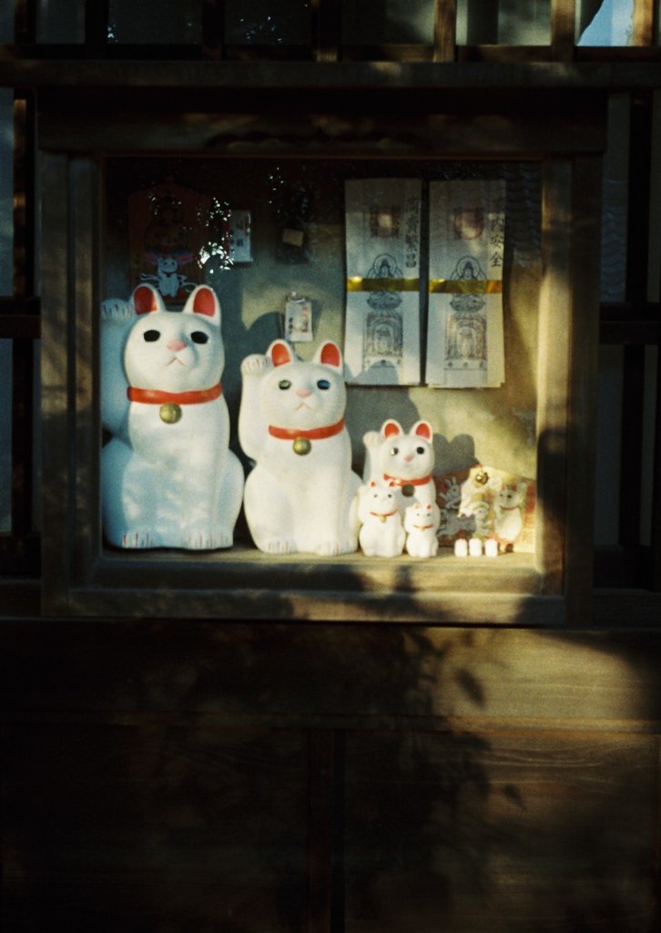 豪徳寺の招き猫