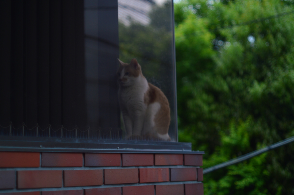 窓ぎわ