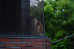 窓ぎわ