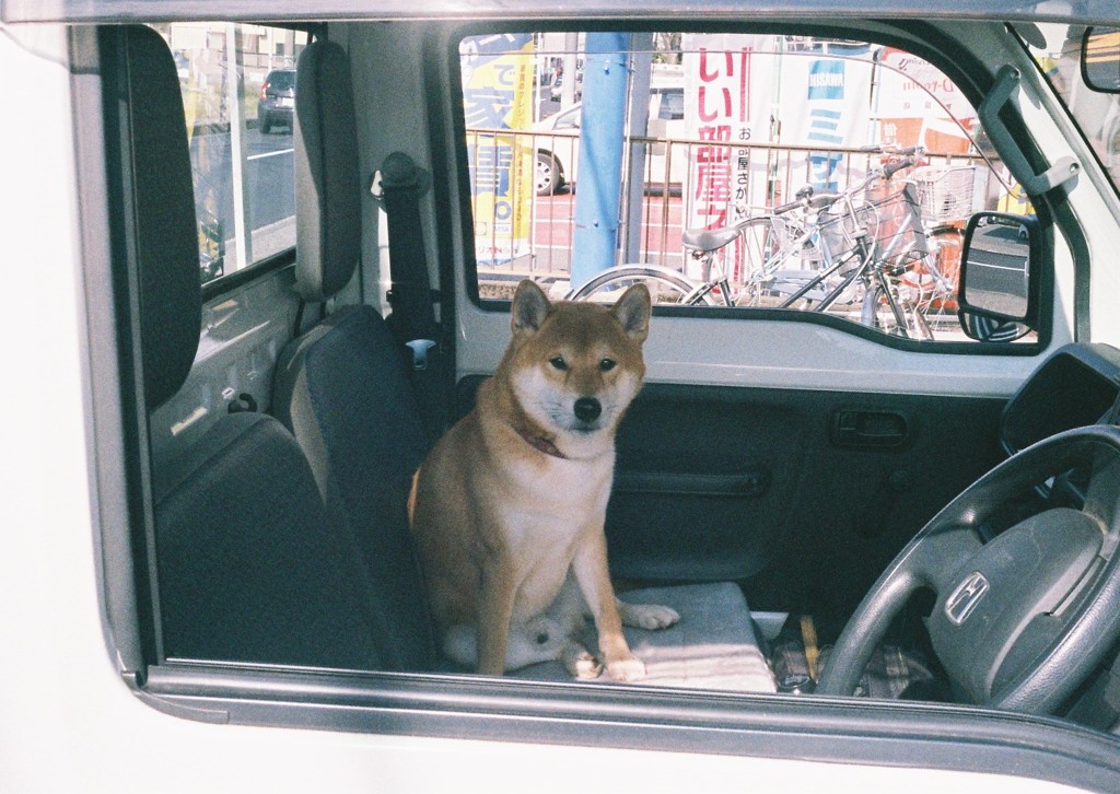 銀行の駐車場にて