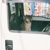 銀行の駐車場にて２