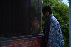 ガラス越し