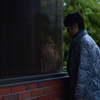 ガラス越し