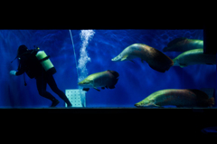 水族館