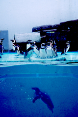 水族館