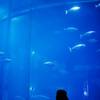 水族館